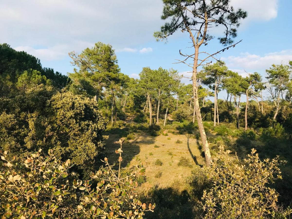 סנט-אילר-דה-רייה Maison Des Dunes, A 100M De La Mer מראה חיצוני תמונה